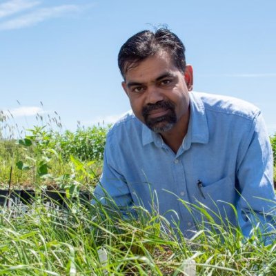 A man in a blue shirt with a beard stands behind trays of grass-like plants